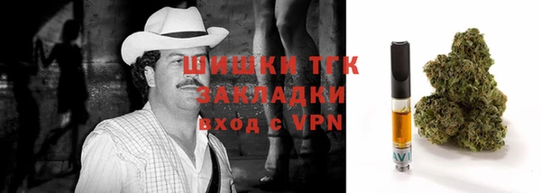 ешки Горняк