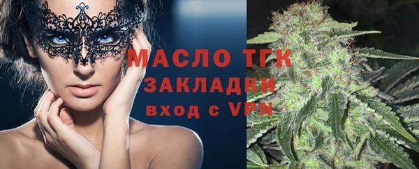 ешки Горняк