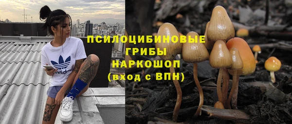 ALPHA PVP Горнозаводск