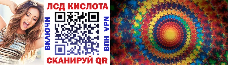 Купить Пучеж Марки N-bome 1,8мг