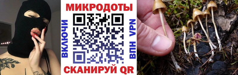 Галлюциногенные грибы Cubensis  Купить закладки  Пучеж 